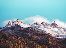 betvictor伟德(中国)唯一官方网站——安全、便捷的线上娱乐首选